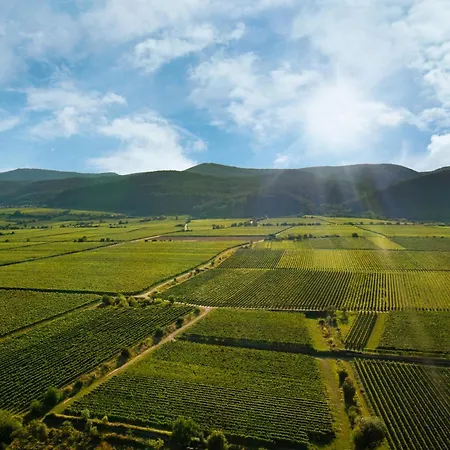Deidesheimer Haus Dom wakacyjny *