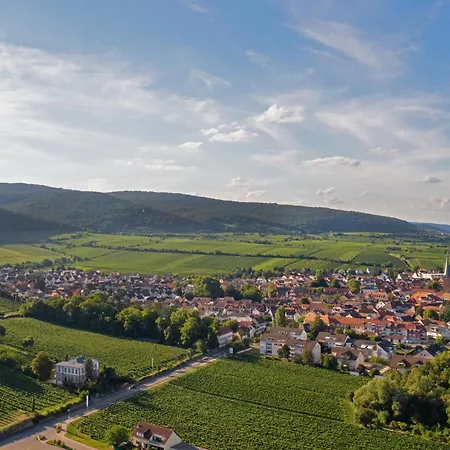 Holiday home Deidesheimer Haus