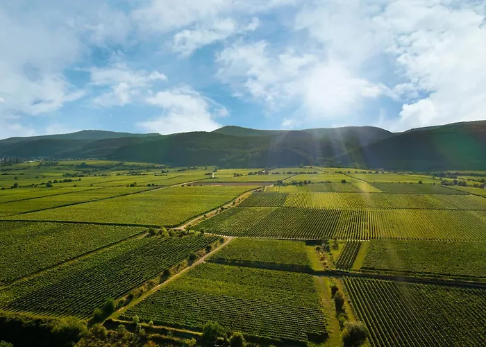 Deidesheimer Haus 度假居 *