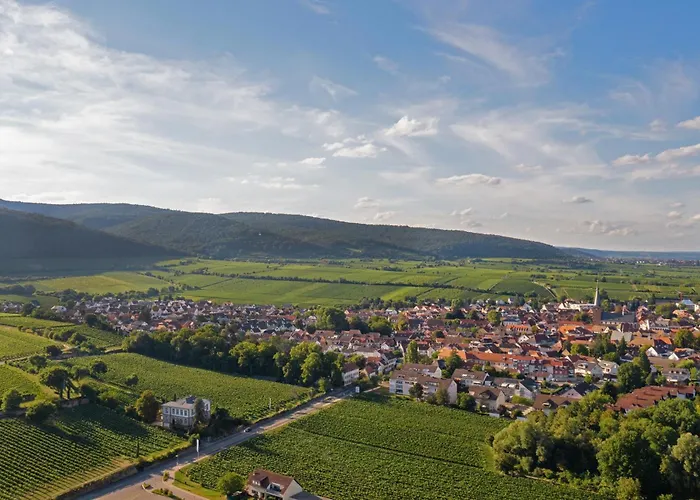 度假居 Deidesheimer Haus